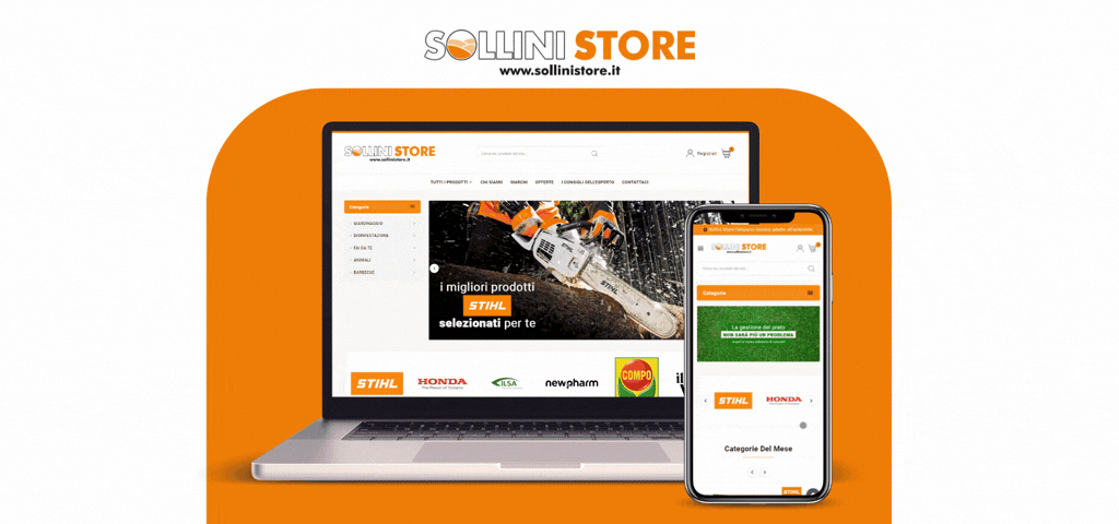Sollinistore.it - Sviluppo Shop Online e Campagne pubblicitarie Baz srl