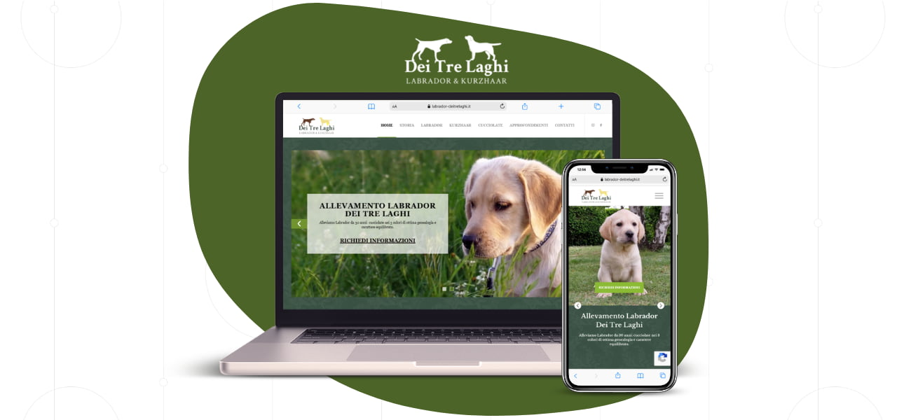 Allevamento Labrador dei Tre Laghi - Progetto Baz